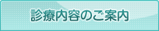 診療内容のご案内